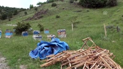 bal uretimi - Aydos Dağı'nda arılarla kamp - ANKARA  Videosu