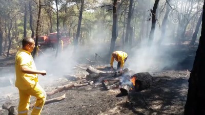 orman alani - Orman yangını - ÇANAKKALE Videosu