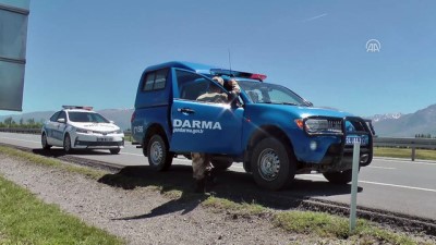 jandarma - Yaralı sürücü hastaneye götürülmeyi reddedip aracının yanında bekledi - ERZİNCAN  Videosu
