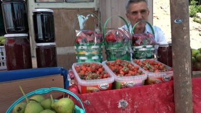 yagmurlu -  Yoğun sis ve yağmur çilek üretimini etkiledi Videosu