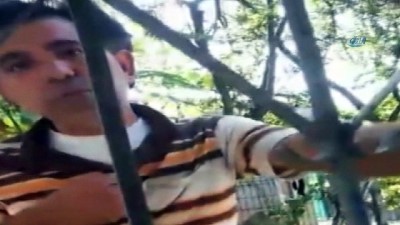 masturbasyon - İstanbul’da sapık dehşeti kamerada  Videosu