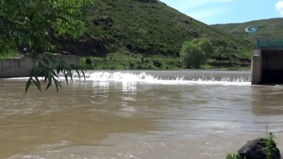 balik tutma -  Kars’ta tatlı su kefallerinin ölüm göçü başladı  Videosu