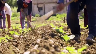 beraberlik - AK Parti'den Güneydoğu'ya özel klip (2) - ANKARA  Videosu