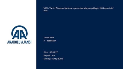 amator kamera - Uçurumdan atlayan 100 koyun telef oldu - VAN  Videosu