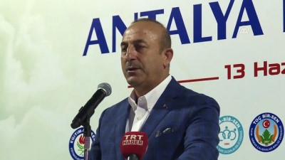 Dışişleri Bakanı Çavuşoğlu: 'FETÖ bütün kurumlarımızı tahrip etti' - ANTALYA 