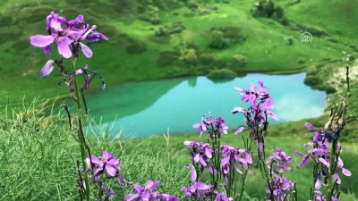 fi yapi - Kop Dağı'ndaki heyelan gölü turizme kazandırılacak - BAYBURT  Videosu