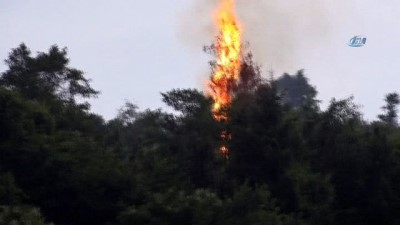 yildirim dusmesi -  Rize'de yıldırım düşmesi sonucu ormanda yangın çıktı Videosu