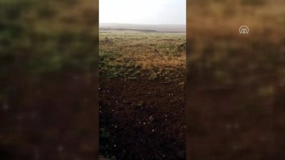 yagan - Şanlıurfa'da dolu yağışı  Videosu