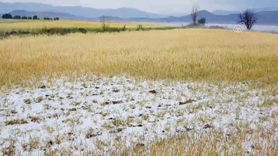 hasar tespit - Karamanlı'da şiddetli yağış ve dolu etkili oldu - BURDUR  Videosu