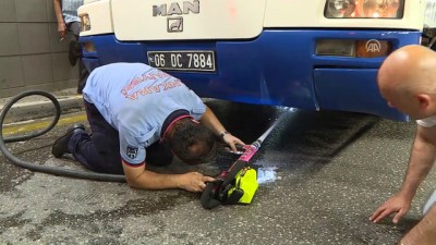 belediye otobusu - Otobüsün şase kısmına giren kedi kurtarıldı - ANKARA  Videosu