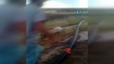 yagan -  Siverek’te ekili tarlaları dolu vurdu  Videosu