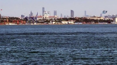 yunuslar -  İstanbul Boğazı'nda yunuslardan görsel şölen  Videosu