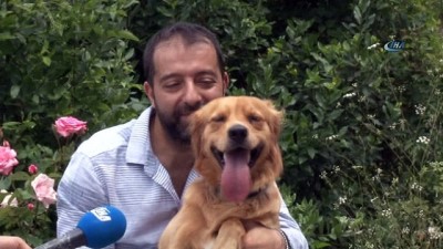 bayram mesaji -  Sakarya’da vahşet Zonguldak’ta köpeğe sevgi Videosu