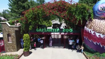 astronomi - Gaziantep turizmi çifti bayram yaşıyor  Videosu