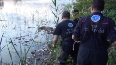 olta -  Balıkçı oltasına ceset takıldı  Videosu