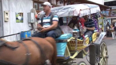 hayvan severler -  Faytoncular Odası Başkanı Ünal, “Adaya atların hepsi kontrollü, sağlık taramasından geçirilmiş olarak getirildi” Videosu