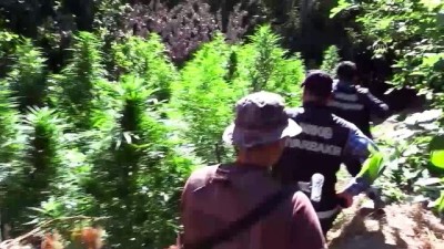 narkotik kopek - Hevsel Bahçeleri'nde uyuşturucu operasyonu - DİYARBAKIR  Videosu