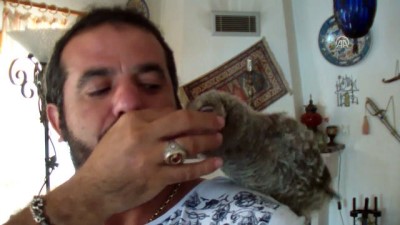 isaf - Yavru baykuşu güçlenmesi için kuzu etiyle besliyor - MUGLA Videosu