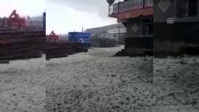 yagan - Kars'ta ceviz büyüklüğünde dolu yağdı Videosu