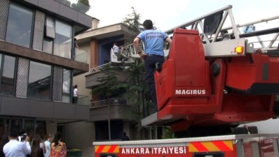 kurtarma operasyonu -  Ekiplerin mühürlü evde kedi kurtarma operasyonu  Videosu