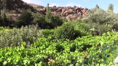 sonbahar - Yerköprü Şelalesi'ne 17 milyon liralık 'makyaj'' - KONYA  Videosu