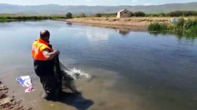 inci kefali -  Jandarma, bin 200 kilo canlı balığı göle bıraktı  Videosu