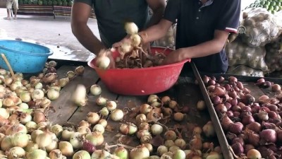 hanli - 'Soğan tarlada 1,5, tezgahta 6 lira' - HATAY Videosu