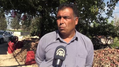 hanli - 'Soğan tarlada 1,5, tezgahta 6 lira' - HATAY Videosu