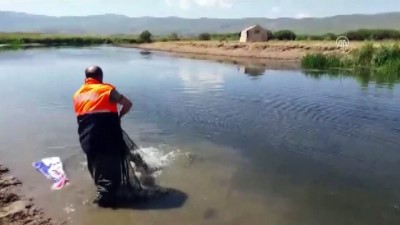 inci kefali - Van'da kaçak avcılıkla mücadele Videosu