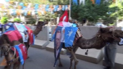 arpacik -  Siverek’te Erdoğan’a develeriyle destek istiyor Videosu