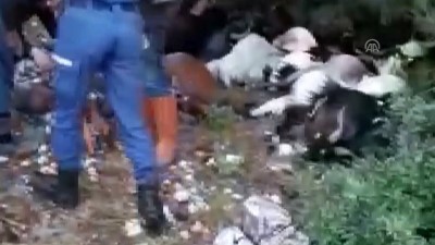 yildirim dusmesi - Telef olan keçilerine sarılarak ağladı (2) - MANİSA  Videosu