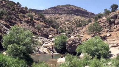 cenin - Teröristlerin gezdiği bölgelerde artık çocuklar yüzüyor - HAKKARİ  Videosu