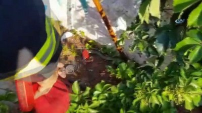 efes -  Öğrenci yurdu bahçesinde yılan paniği  Videosu