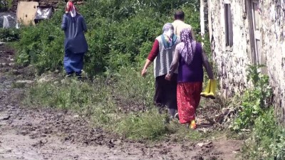 hayvan - Selden etkilenen köylerde hasar tespit çalışmaları sürüyor - KARS Videosu