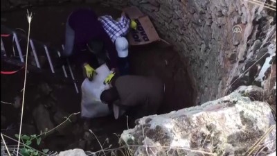 memur - Kuyuya düşen tilki kurtarıldı - UŞAK  Videosu