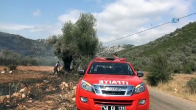 dikkatsizlik -  Tarım arazisinde başlayıp ormanda sıçrayan yangında 40 hektar alan kül oldu Videosu