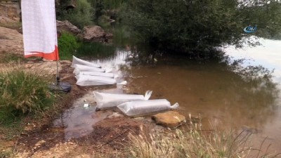 olta -  Uşak'ta göletlere 100 bin yavru balık bırakıldı  Videosu