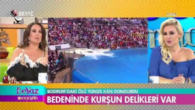 Bodrumdaki ölü yunus kan dondurdu 