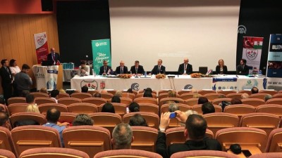 Macaristan'da uluslararası ekonomi konferansı - DUNAUJVAROS