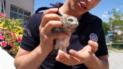 hayvan -  Polis memurundan örnek davranış Videosu
