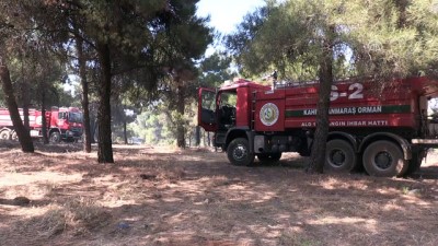 ormana - Gaziantep'te orman yangın (3) - GAZİANTEP Videosu