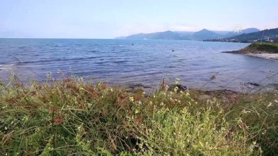 Karadeniz'in turizmde parlayan yıldızı 'Yason Burnu' - ORDU 