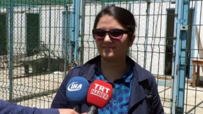 teknoloji -  Yozgat’ta haşerelere İHA'lar ile savaş açıldı  Videosu
