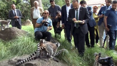 hayvanat bahcesi -  Bursa Hayvanat Bahçesi’nin yeni misafirleri gergedanlar  Videosu