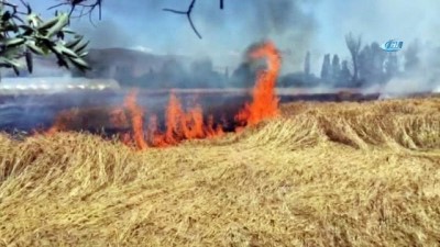  Sivas'ta buğday tarlasında yangın 
