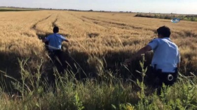 dur ihtari -  Cezaevi firarisi buğday tarlasında böyle yakalandı  Videosu
