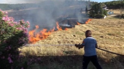 zeytin agaci -  Hatay’da 7 hektarlık ormanlık alan yandı Videosu
