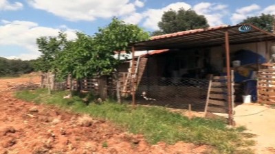 seker hastaligi -  - Taşçı ailesi, kendilerine uzanacak yardım eli bekliyor
- Yerleşim yeri dışında yıkılmak üzere olan evde yaşam savaşı veriyorlar  Videosu