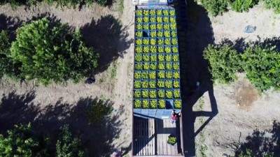 bitkisel urun -  'Türkiye’de tarım arazileri yok oluyor' Videosu
