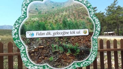 orman yanginlari -  Olympos’ta yangın hafıza noktası oluşturuldu  Videosu